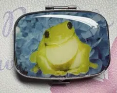 ⚠️転売禁止⚠️ハンドメイド レジン カエル ピルケース SALE