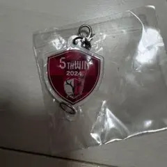 鹿島アントラーズ　勝ち連チャーム 5th WIN