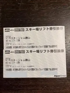 スキージャム勝山　２枚　全日　大人　リフト一日券