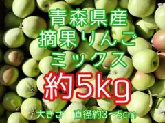 【青森県産りんご】加工用　摘果りんご　品種ミックス　約5kg（箱込み）のサムネイル