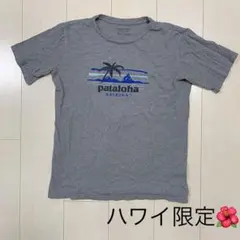 パタゴニア パタロハ　Tシャツ