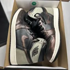 Nike Air Jordan 1 ブラック/ブロンズ