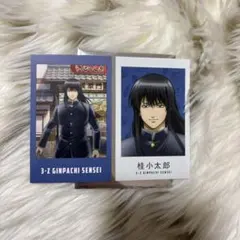 銀魂 3年Z組銀八先生 花やしき フォト風カード 修学旅行Ver. 桂小太郎