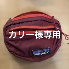 patagonia ウエストポーチ