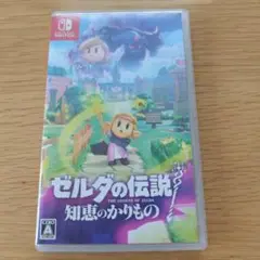 ゼルダの伝説 知恵のかりもの　Nintendo Switch