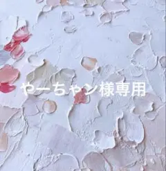 やーちゃン様専用