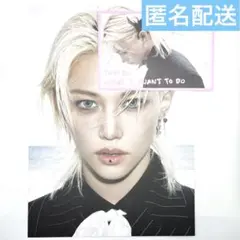 straykids Do It IT ver 通常盤 フォトボード フィリックス