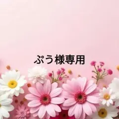 【ぷう様】
