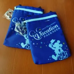 東京ディズニーリゾートバケーションパッケージ専用 バッグ 2個セット