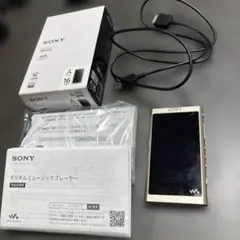 SONY ウォークマン NW-A25HN 付属品完備 動作確認済み y2k - メルカリ