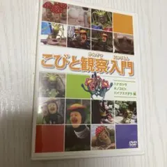 こびと観察入門 DVD こびと図鑑