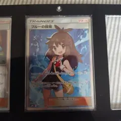 ブルーの探索 SR SM9b フルメタルウォール 061/054