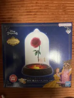 2025年最新】一番くじ 美女と野獣 魔法のバラの人気アイテム