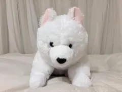 NITORI ニトリ サモエド ぬいぐるみ 犬 いぬ - メルカリ