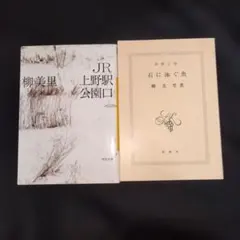 柳美里「石に泳ぐ魚」掲載 『新潮』1994年9月号 - メルカリ