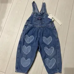 オシュコシュ 100