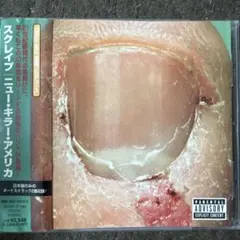 【3枚1100円】SKRAPE - ニュー・キラー・アメリカ