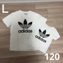 adidas オリジナル　親子Tシャツセット ホワイト