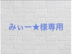 みぃー★様専用 聖女様の逆ハーレムからあぶれた騎士様に熱烈に求愛されている件 他
