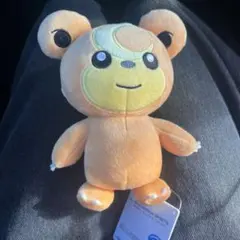ポケットモンスター ポケモン ぬいぐるみ ヒメグマのサムネイル