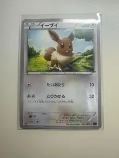 ポケモンカード イーブイ