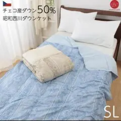 【洗濯OK】昭和西川 羽毛肌掛け布団 ダウンケット シングルロング 洗濯可能のサムネイル