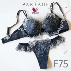 ワコール ルジェ tバック