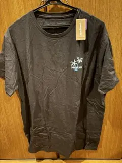 新品Patagonia パタロハ メンズTシャツ ブラック ハワイ限定デザイン