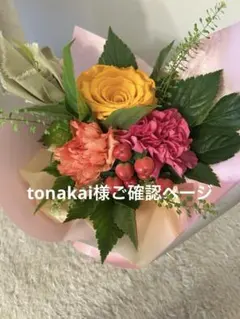 tonakai様、ご確認ページ