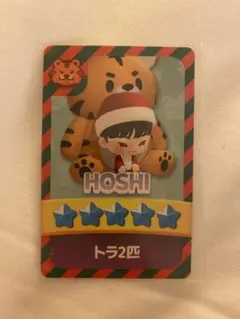 SEVENTEEN パズル　CARATブース トレカ　会場　パズチ　ホシ