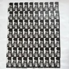 僕のヒーローアカデミア ボドゲ 荼毘 ボードゲーム 2/D 計70枚