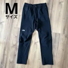THE NORTH FACE メンズ アルパインライトパンツ ブラック M
