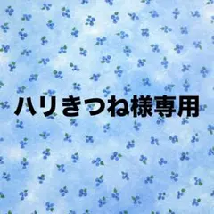 ハリきつね様専用のサムネイル