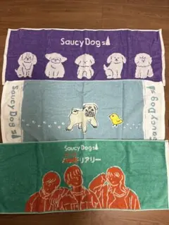SaucyDog タオル ラバーバンド キーホルダー セット - メルカリ