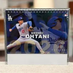 Item thumbnail for item 917e2e4c-84a6-4995-9ce5-b2446fc917b3