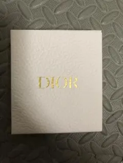 DIOR ピンバッチ