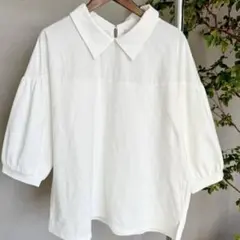 「SEASON REASON」襟付きプルオーバー　しまむら