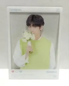 SEVENTEEN セブチ HARU ウォヌ 55 透明 トレカ