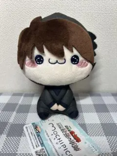 劇場版 忍たま乱太郎 ドクタケ忍者隊最強の軍師 もちぴこぬいぐるみ 土井先生