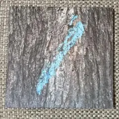 Taylor Deupree / Lost & Compiled