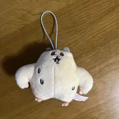 2026年最新】はむちゃんの人気アイテム - メルカリ