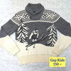 Gap Kids ギャップボーイズ ジャガード編みノルディック柄ニット 150~