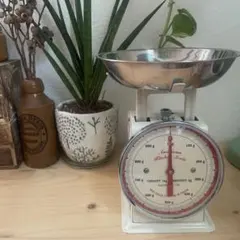 ダルトン 調理器具