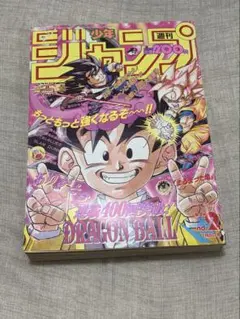 週刊少年ジャンプ 1995年25号 ドラゴンボール 最終回掲載号 美品 当時
