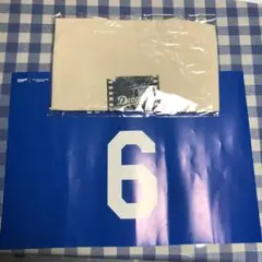中日ドラゴンズ　オリジナルトートバッグ&中田翔引退記念ボード