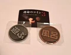 運命のコイン3　２枚　遊ぶ⇔帰る　寝る⇔風呂