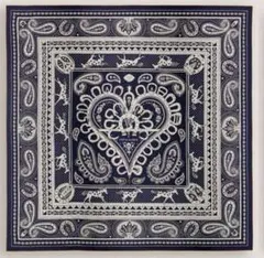 新品未使用　エルメス　カシシル140　コーラスステラルム エルメス カシシル 万華鏡 新作カシシル 140 全色 (HERMES/スカーフ