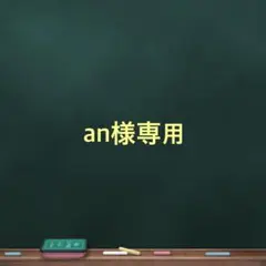 an様専用