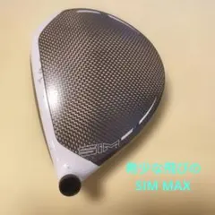 2025年最新】sim ドライバー ヘッドのみ 9.0の人気アイテム - メルカリ