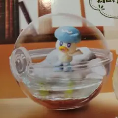 クワッス ポケモンテラリウムフィギュア